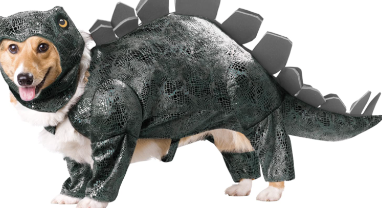 Stegosaurus Dog Costume
