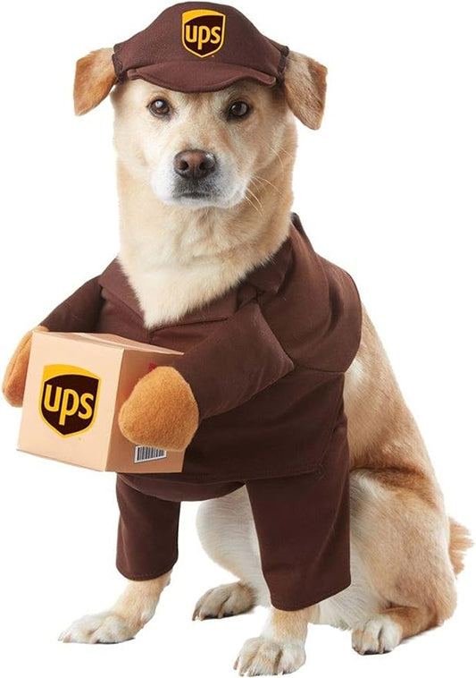Dog costume UPS