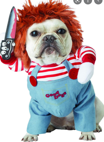 Chuckie Dog Costume WoahS