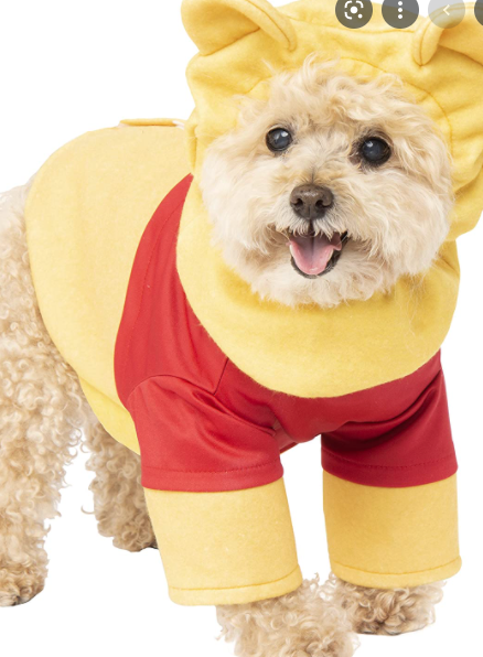 Winnie the Pooh & Friends costumes