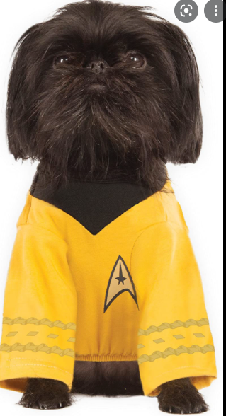 Star Costume (Trek)