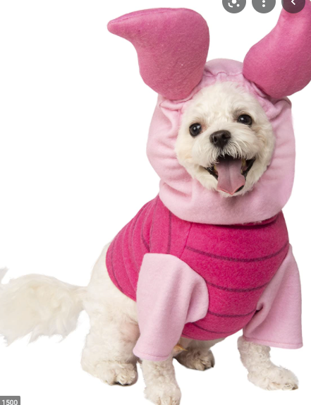 Winnie the Pooh & Friends costumes