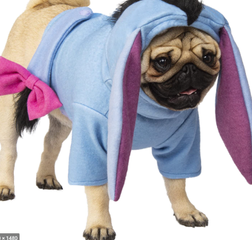 Winnie the Pooh & Friends costumes