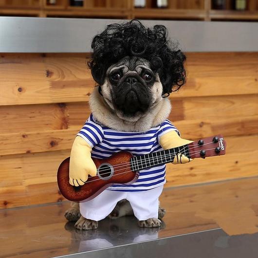 Dog Costume: Guitars