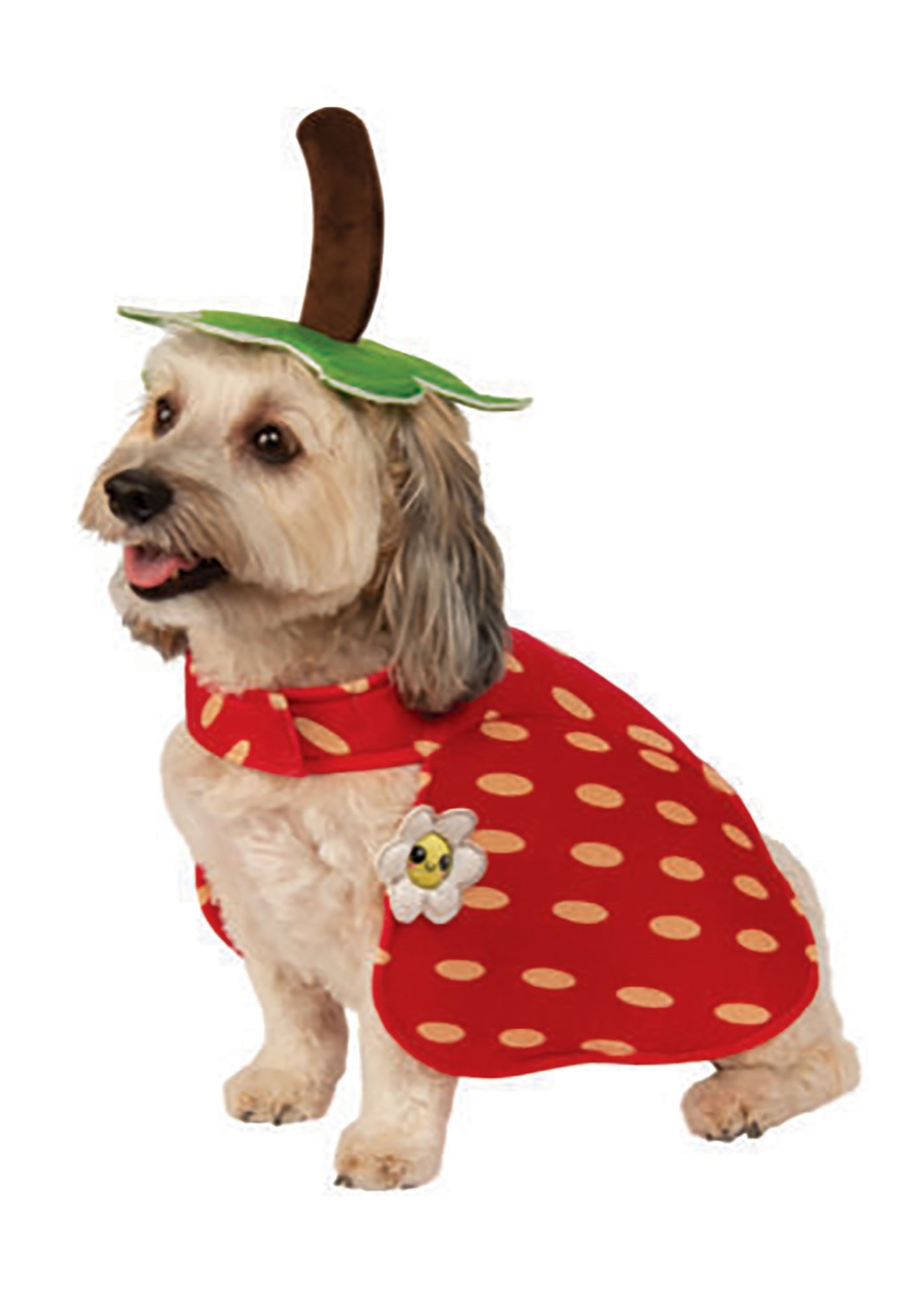 Strawberry Dog Costume BrendaTesta